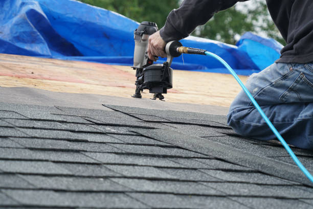 Best Storm Damage Roof Repair  in Chester, IL